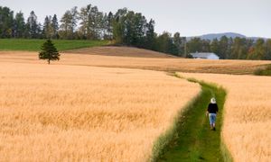 Devenir acteur de son parcours de vie : Quels nouveaux modèles pourrait-on imaginer pour mieux coordonner la transition du domicile à l’EHPAD ? Avec quels modèles de financement ? #Lgty2022