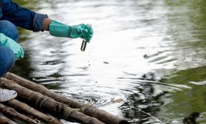 Quel suivi écologique pour les cours d'eau ?