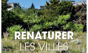 Renaturer les villes : quelles étapes essentielles ?