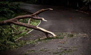 Intégrer la résilience dans la reconstruction des infrastructures contre les risques naturels