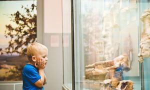 « Les bébés au Musée » Médiation culturelle et artistique avec les jeunes enfants et les familles. Collaboration musées-professionnel/le/s de la petite enfance