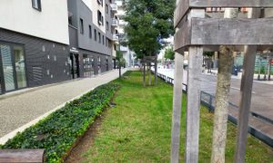 2/3 Découvrez la stratégie de désimperméabilisation d'Angoulême