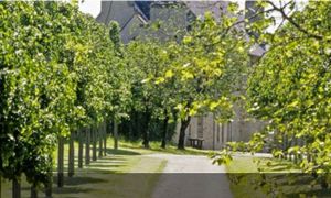 Les opérations techniques des domaines remarquables des Chemins du Patrimoine en Finistère 🏰🌿