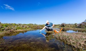 Comment suivre et évaluer les Solutions fondées sur la nature ?