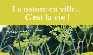 Retex - Ploemeur : Une politique de développement durable ambitieuse pour restaurer la biodiversité