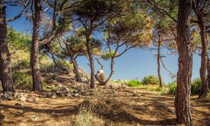 Forêt méditerranéenne: haut lieu de la biodiversité 🌿#ANB2023