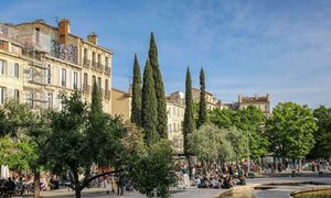 Accompagner le choix des arbres pour les villes méditerranéennes en évolution 🌿 #ANB2023