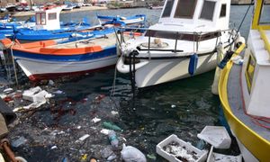 Ports et biodiversité 🐟 #ANB2023