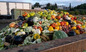 Marché Zéro Déchet : retours d'expériences