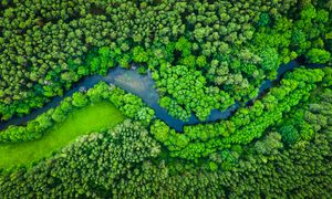 ECIF en Seine-et-Marne : réduire le morcellement des forêts en s’appuyant sur des échanges et cessions amiables