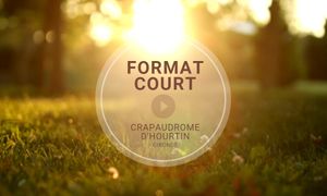 [Format court] Un Crapaudrome sur l'étang d'Hourtin 🐸