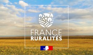 Programme France Ruralités & autres dispositifs pour favoriser la mobilité des territoires ruraux !