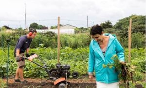 Relocaliser sa production et sensibiliser sa population : l'exemple des Carrés Maraîchers