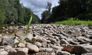 Sensibiliser, mobiliser, agir : les acteurs publics s’engagent pour que l’eau ne manque pas demain - SP - Séance plénière - #CGLE 2024