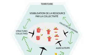 Déchets et théorie des communs, ou comment le service public est capital dans la gestion des ressources ?