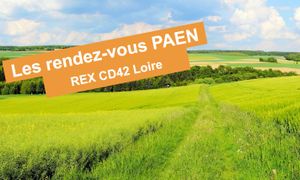 [Les rendez-vous PAEN] REX du CD42 Loire : une implication forte du local et un pilotage assidu