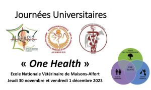 JU 3SM 2023 - Diagnostic, traitement et prévention des affections orthopédiques du chien de recherche sapeur-pompier