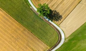 Etat des lieux des dispositifs de protection renforcée du foncier agricole et naturel : ZAP et PAEN