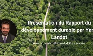 Rapport du DD - obligations réglementaires