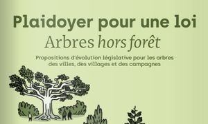 Protéger les "Arbres hors forêts": découvrez le plaidoyer du CAUE 77 et de l'association A.R.B.R.E.S