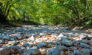 Comment gérer un cours d'eau intermittent ?