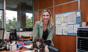 Mon chien au bureau - RETEX de la ville de Grenoble