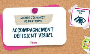 GEP - Accompagnement déficient visuel