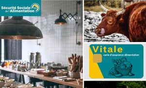 [Cycle SSA] #2 Transformer les systèmes alimentaires