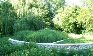 Les Filtres Plantés de Roseaux, un "Système Français" ?