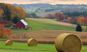 Les fondamentaux du bail rural